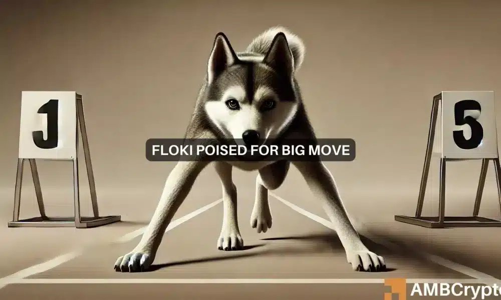 Profiting from FLOKI\